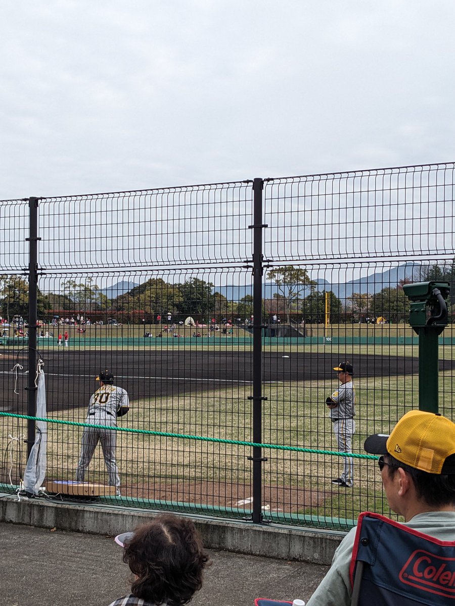 qyAX1RUMuiGVGmL's tweet image. 由宇に二軍戦見てきましたすごい楽しかった(≧∇≦)