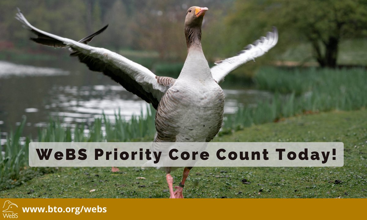 Honk! 📢Today is the April Priority Core Count! Honk! 📢