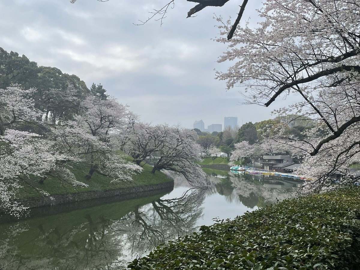 tekutekukon's tweet photo. 満開で~~す。
桜が満開の中の婚活
盛り上がったよ~
素敵な参加者の皆さん、ありがとうございました😊 https://t.co/6lpuDNNHMZ