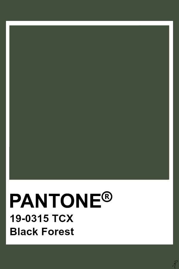 ElainaExe's tweet photo. How does Pinterest see you? 
Search: fashion, pantone, mood, food 🌳🦕

the dino really sells it for me https://t.co/g0MoYo3QH3