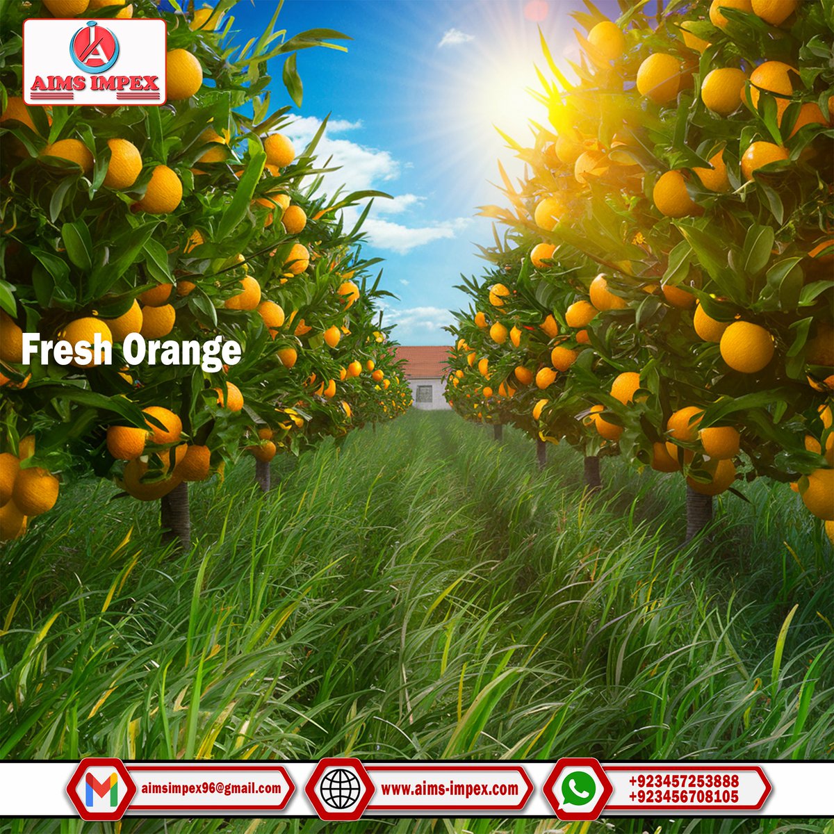 AimsImpex's tweet photo. Our premium fresh Mandarin is a top choice for export. Grown with care, they meet the highest quality,
https://t.co/GwQxYCGUrd
#aimsimpex #aimsimpexgroup #pakitanexporter #fruitsexporter #vegetableexporter #exporterfrompakistan #freshfruit #freshvegetable #optatoes #mandarin https://t.co/gigVtZFrQn