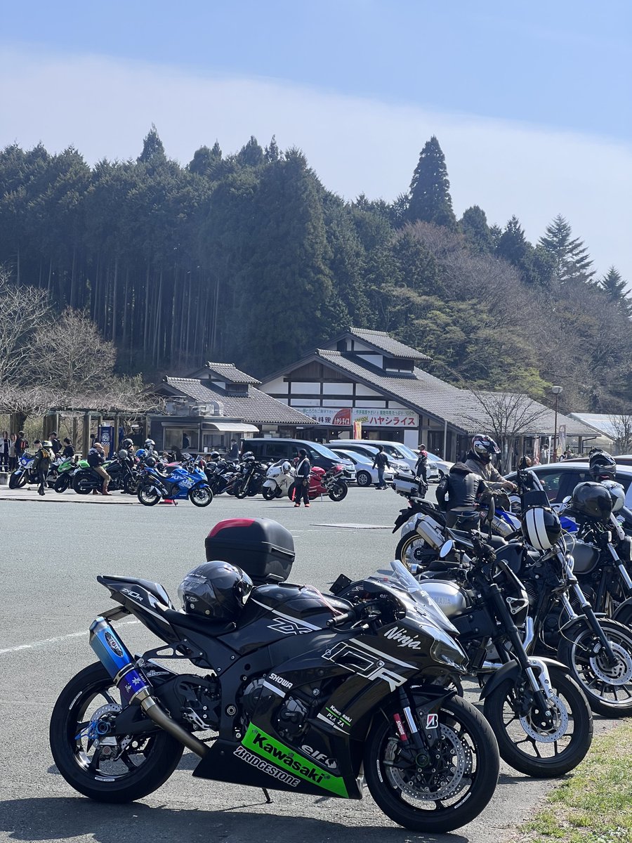 おひとりさま
桜の「さ」の字も無い