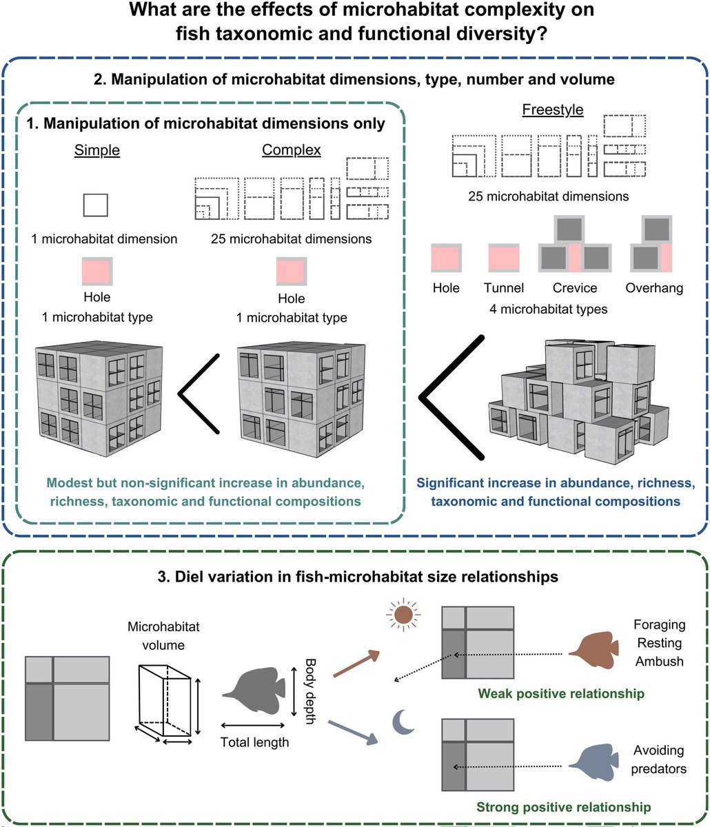 Experimental Marine Ecology Laboratory (@emel_nus) on Twitter photo 📢 New paper led by <a href="/daisuke_taira/">Daisuke Taira</a> in <a href="/JAppliedEcology/">Journal of Applied Ecology</a> found that volume-independent complexity effects on fish assemblages differed across scales, among fish assemblage metrics and between day and night. Excellent work! ✨🐠🐟
doi.org/10.1111/1365-2… 📢 New paper led by <a href="/daisuke_taira/">Daisuke Taira</a> in <a href="/JAppliedEcology/">Journal of Applied Ecology</a> found that volume-independent complexity effects on fish assemblages differed across scales, among fish assemblage metrics and between day and night. Excellent work! ✨🐠🐟
doi.org/10.1111/1365-2…
