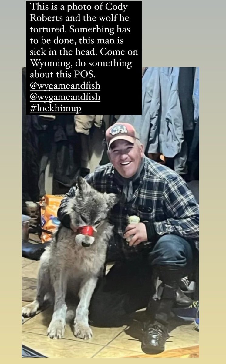 #codyroberts #animalabuse @wyomingpd @wyo_football @wyomingOfficial @WGFD #wolf #wyoming #wolf