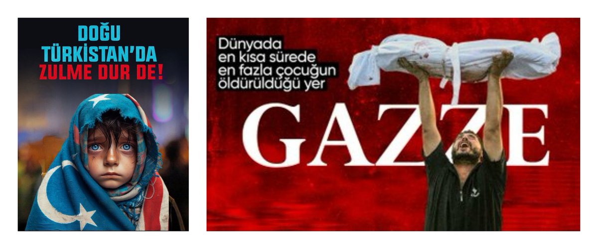 Question: How many #Muslim countries are there in the #World that are not occupied?

Answer: Two (#Gaza "#Palestine" and #EastTurkestan "#Uyghur")

Because, in the silence of the world, they are #slaughtering #babies without hesitation in order to invade!..