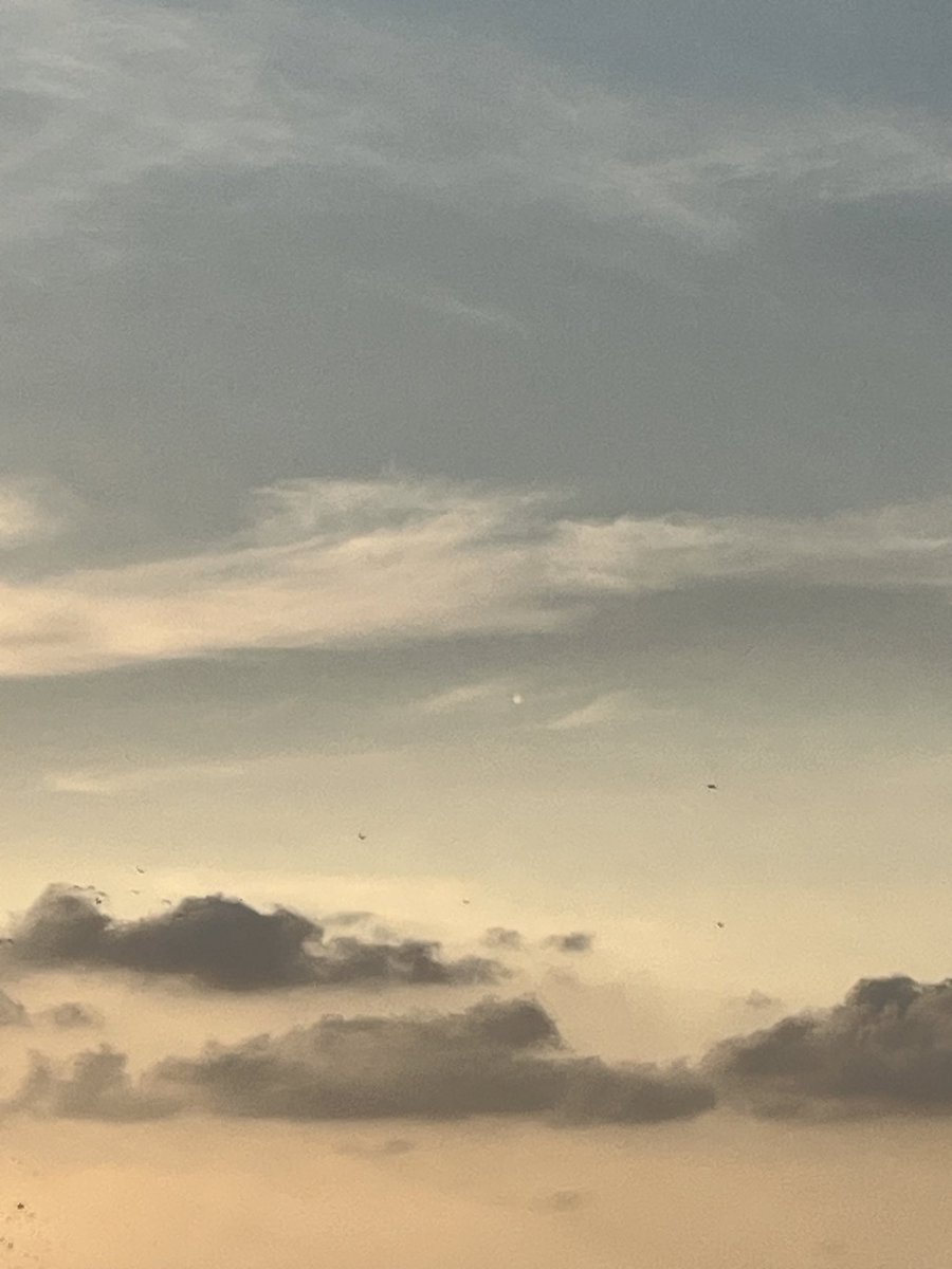 harshap's tweet image. It was wonderful to observe a comet from negambo beach yesterday. It was very clearly visible to eyes but not very clear in photos. It could possibly be #devilscomet or as my son discovered using an app as 12P. Wonderful experience. #comet #lka #srilanka