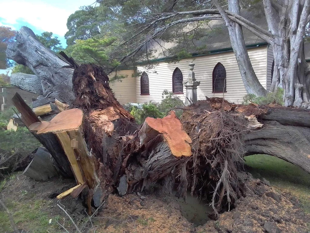 Sunset photo taken on my recent Haunted & Mysterious Bundanoon tour & fallen tree photo taken by ghost author JG Montgomery following yesterday's storm in the same graveyard. Luckily tree came down in middle of the night and no one injured, church and graves safe. Phew!