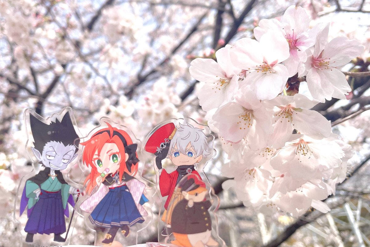 「シンヨコの桜見てきました 」|いおのイラスト