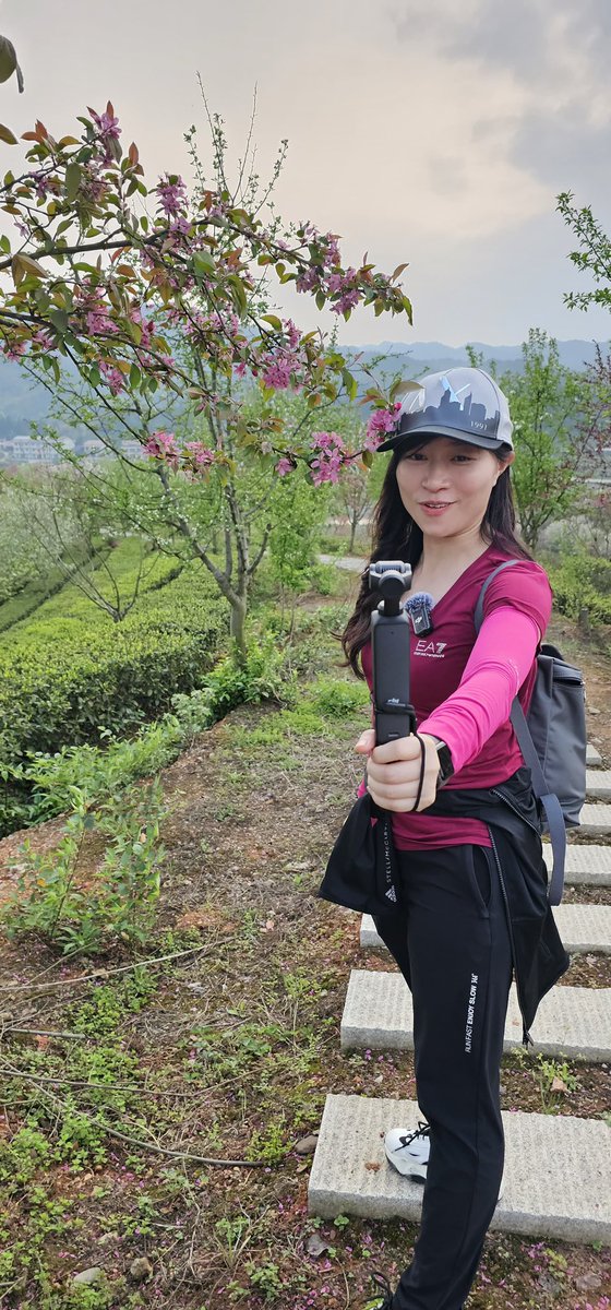 Fragrance of tea, sea of flowers Earlier this week, members of #EcommercePractitionersAssociation and I went to Hunan. Besides visiting the Olympic champion #GongZhichao in Changsha, we also went to Anhua County to see how the once barren mountain has transformed into a scenic…