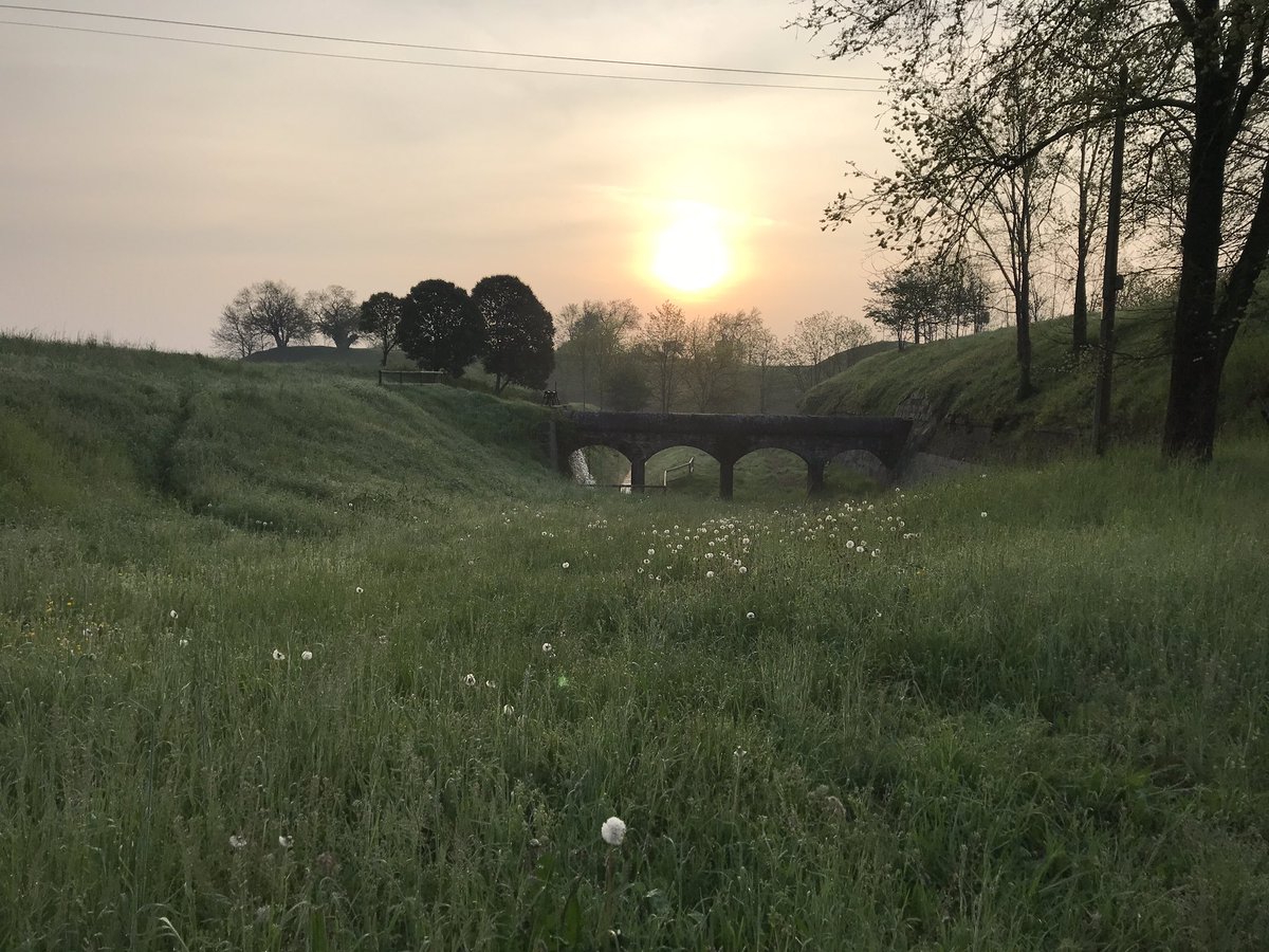 lionzan's tweet photo. The value of a morning run to connect with nature and clear your mind.

The more I do it the better I feel and the more I want to do it.

What do you think?

#running
#wellness
#leadership https://t.co/kgz7EnCRhJ