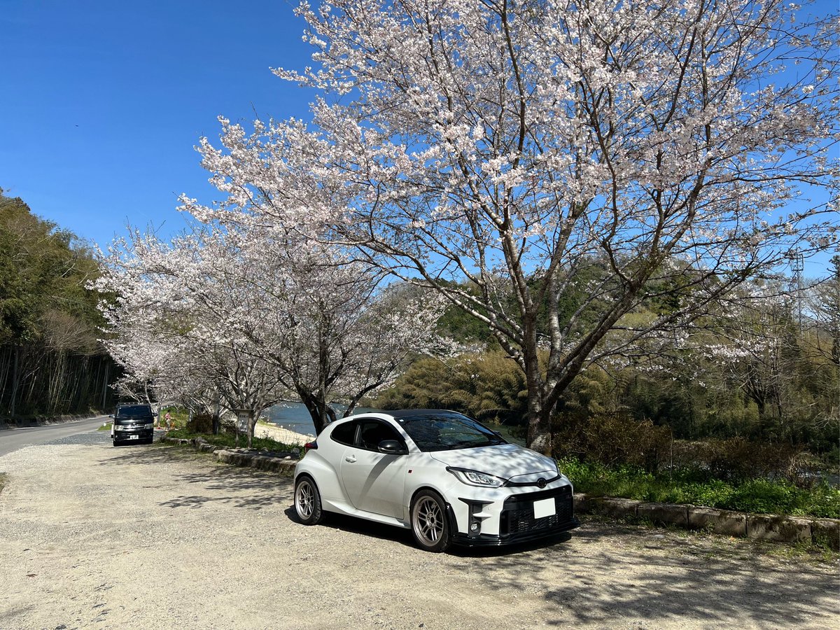ともや tweet media