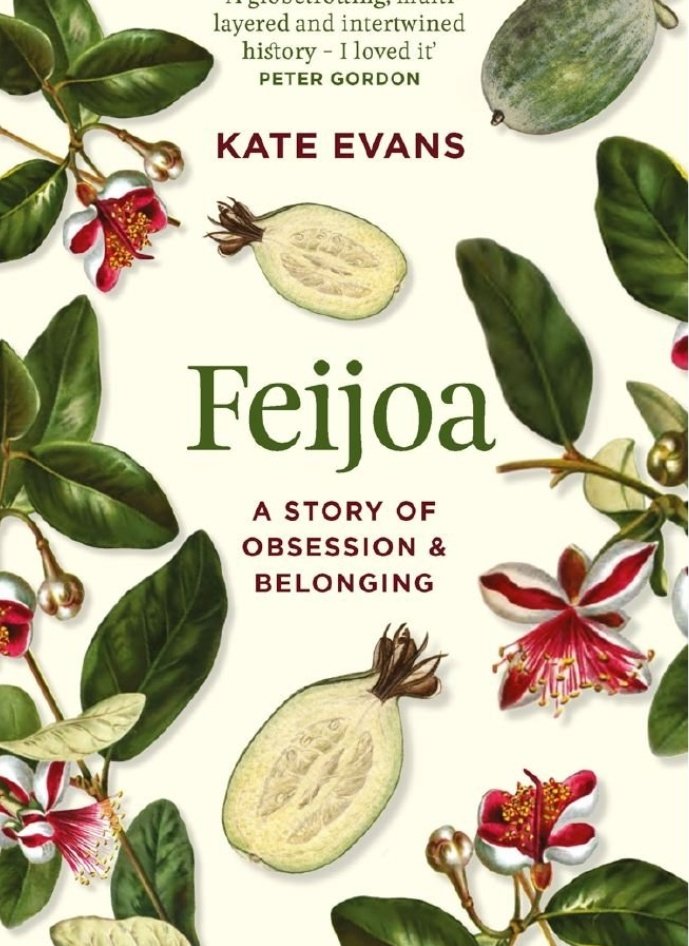 Tim McCready tweet media