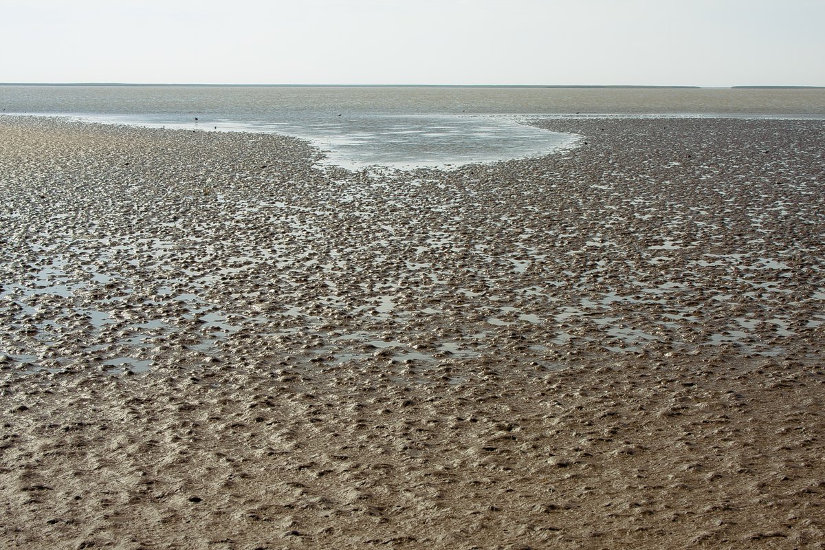 Low Tide, End of South Pass, Near Port Eads, LA 4/08 #Louisiana #photos #porteads #lowtide