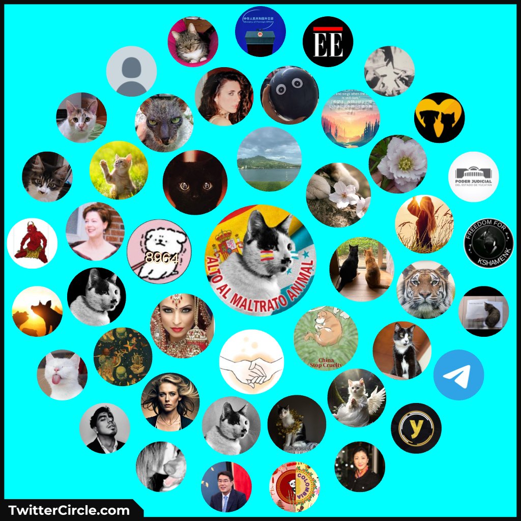 There are many more missing! 🫂🐾