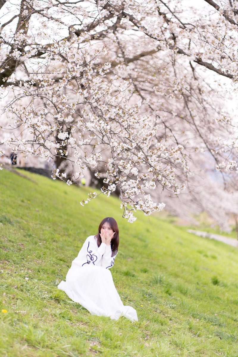 「春の喜び」 モデルさん：優まお(@suguru_mao) #背割提 #桜 #優まお #portrait #ポートレート #ポートレート好きな人と繋がりたい #写真好きな人と繋がりたい #これソニーで撮りました #SonyAlpha