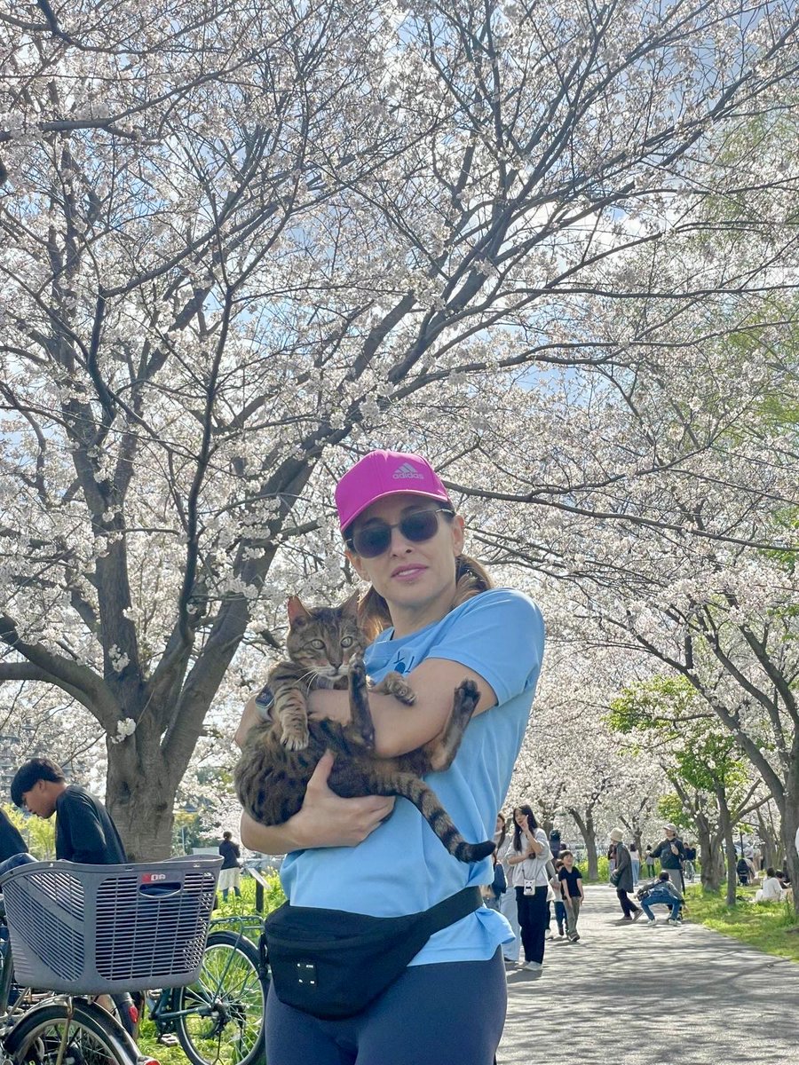 It’s this time of the year again! Took my cat to the river near my house to see the Cherry Blossoms 🌸 😻 It’s very beautiful