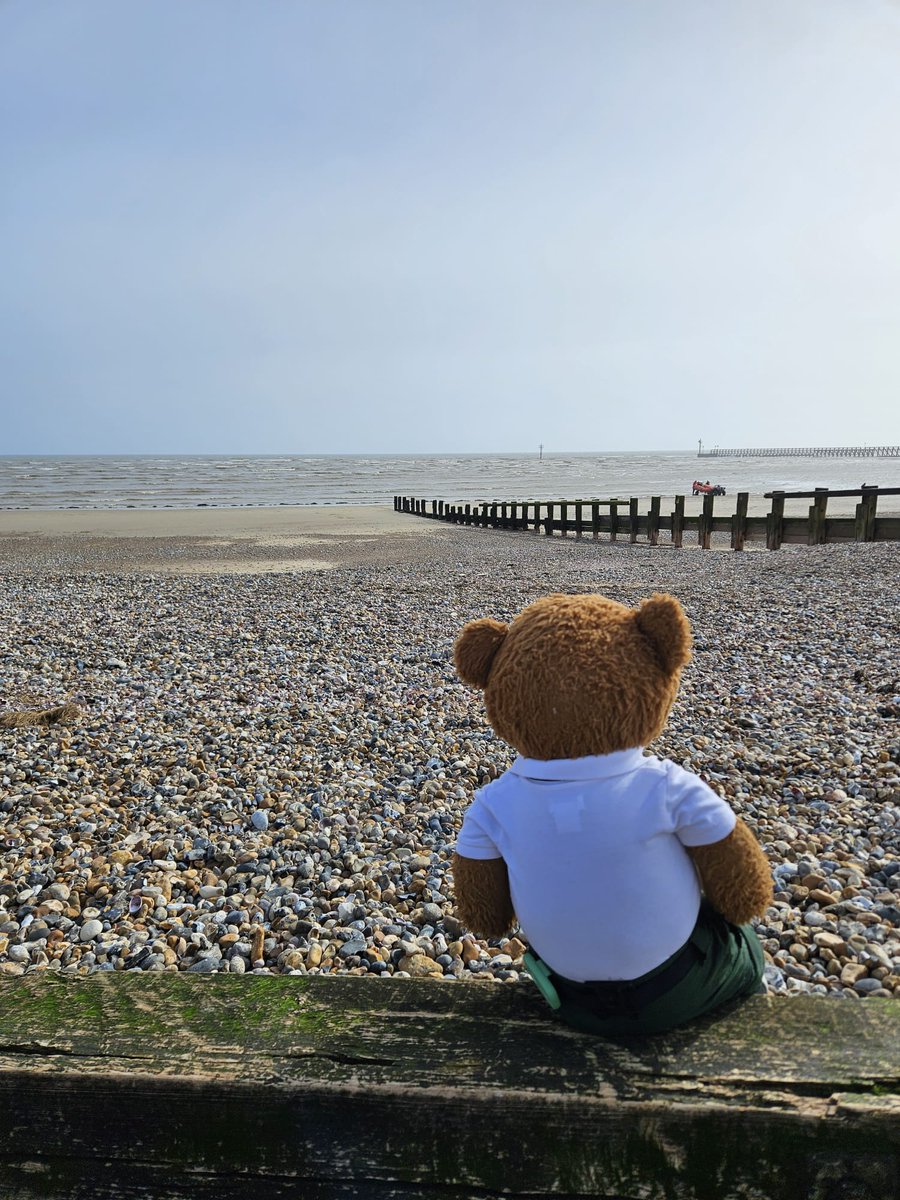 Here I am enjoying the beach after #teaching in #Littlehampton earlier in the week, in the picture you can see me choosing a nice shell to take home for mom. #beachlife #beachvibes #shells #bearswithjobs #teachingyoutosavelives #MentalHealthMatters #getoutdoors