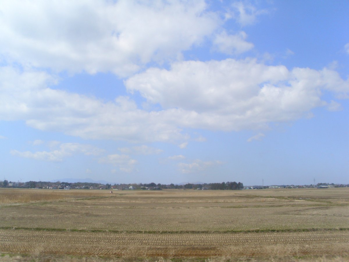toydigidori's tweet photo. 【24/04/05分】
東能代からは奥羽本線で秋田まで
この日も本当に天気が良かった
今回の旅行は天気に恵まれて助かってるな

#クラシックデジカメ
#AGFA #Compact100
#キリトリセカイ
#ｳﾞｧｶ旅
#奥羽本線 https://t.co/uV7vf326gL