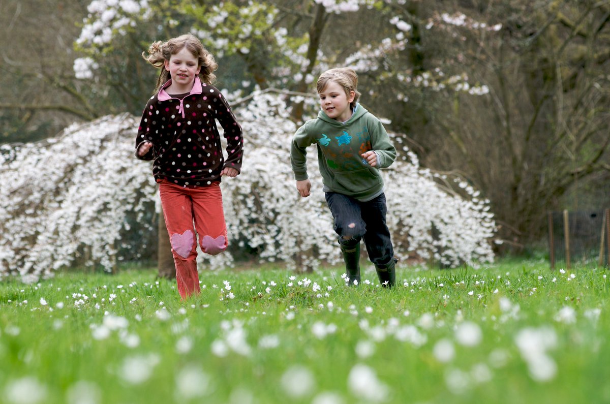 Visit Westonbirt Arboretum for free events and outdoor adventure: 🐰Easter family activity, 9 - 11 April, 10:30am - 3:30pm 🦊Spring family trail - nature superheroes 🥳Gruffalo party trail 🌳Guided walks in the Old Arboretum, 11am & 2pm 💮Sensing nature walk, Friday, 11:30am