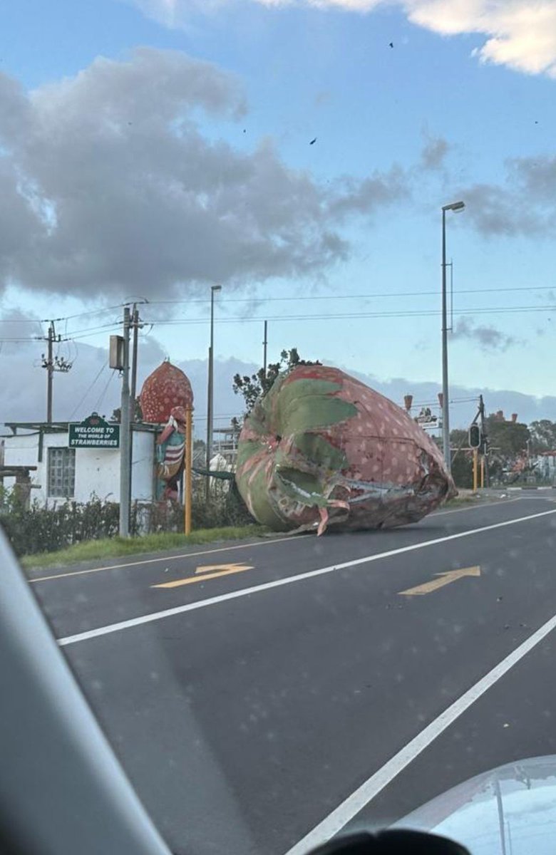 Western Cape - R44 Route:  Giant Strawberry blown over just south of Stellenbosch #CapeStorm