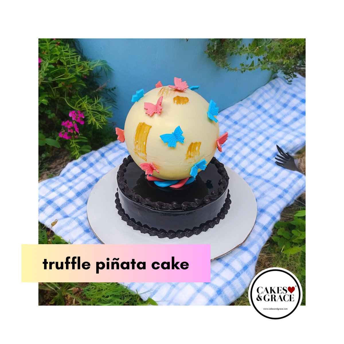 CakesAndGraceIN's tweet photo. 🎂🤎🪅
Unleash the party with our Truffle Piñata Cake – a delicious surprise awaits in every slice! 🎉🍰
—
Get your imagination designed only at @cakesandgracein
—
☎️: +91 9040 506 506
🛍: https://t.co/UboyrwiaD3
—
#spreadlove #cakesandgrace
#chocotruffle #piñatacake #customcakes https://t.co/9erSR3meDM