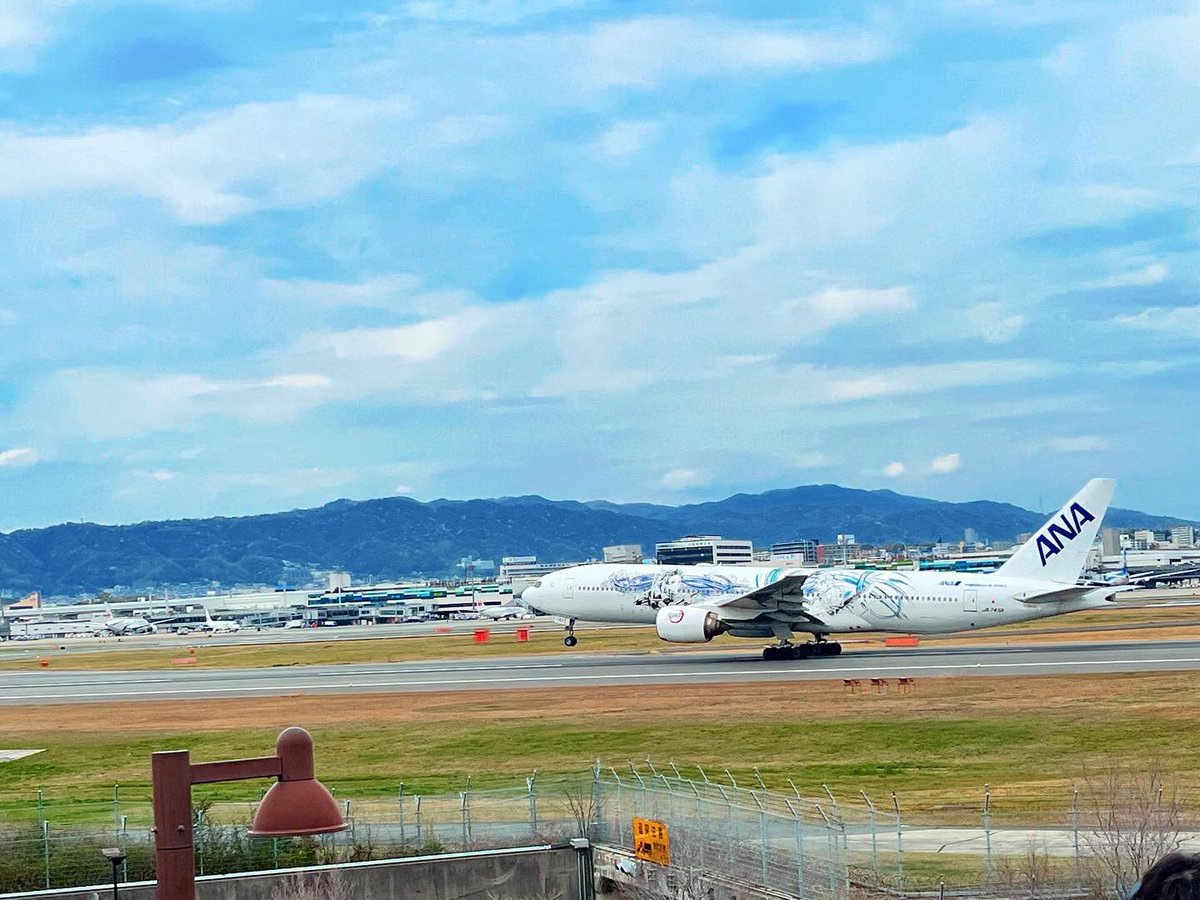 たくさんの方が見に来てくれてました📷

#伊丹スカイパーク #飛行機が見える公園 #公園 #兵庫県 #伊丹市 #飛行機 #大阪国際空港 #伊丹空港 #関西お出かけ #兵庫県お出かけ #子供とお出かけ #人気スポット #デートスポット