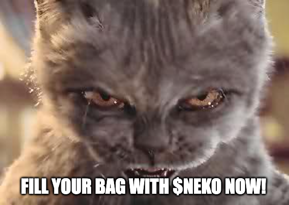 NEKO tweet media