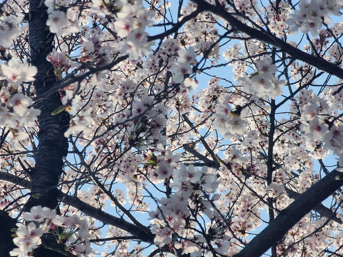 카이스트 왔다감
창섭이가 전과자로 온 학교