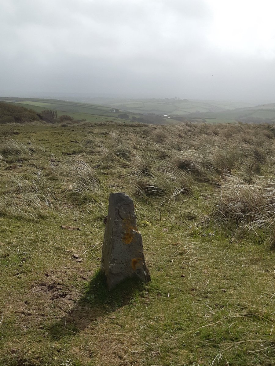 Boundary stone parishes of Gwithian and Camborne #StandingStoneSunday #Cornwall