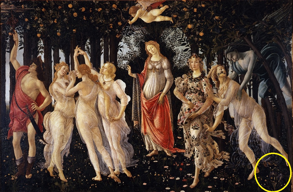 Over 100 species of flowers have been identified scattered at the feet of Flora and Venus in Sandro Botticelli’s Primavera (1482, at bottom right) ~ suggesting that he took considerable interest in making these depictions of the natural world as realistic as possible