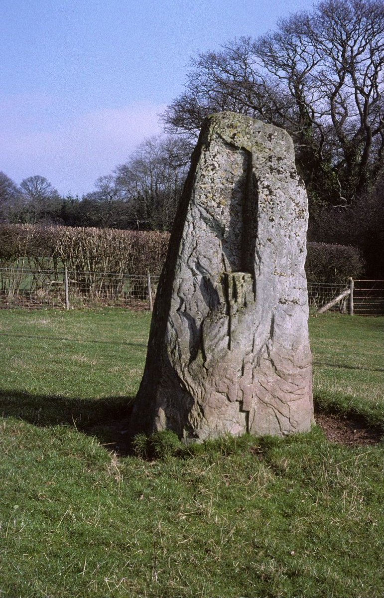 This large and impressive standing stone is Neuadd Glan Gwy Stone. Standing at 2.4m high in the Wye Valley, this #BronzeAge monolith is an excellent contender for today’s #StandingStoneSunday. buff.ly/43HWn7m
