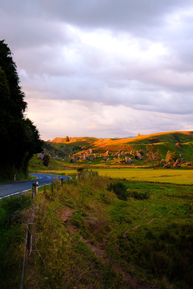 Rolling hills

#rollinghills #goldentrees #thelastofautumn #thelasttime #goldenleaves #tothetop #followthepath #onlythebeginning #amomentinnature #nature #fujifilm #xpro3 #newzealandlife