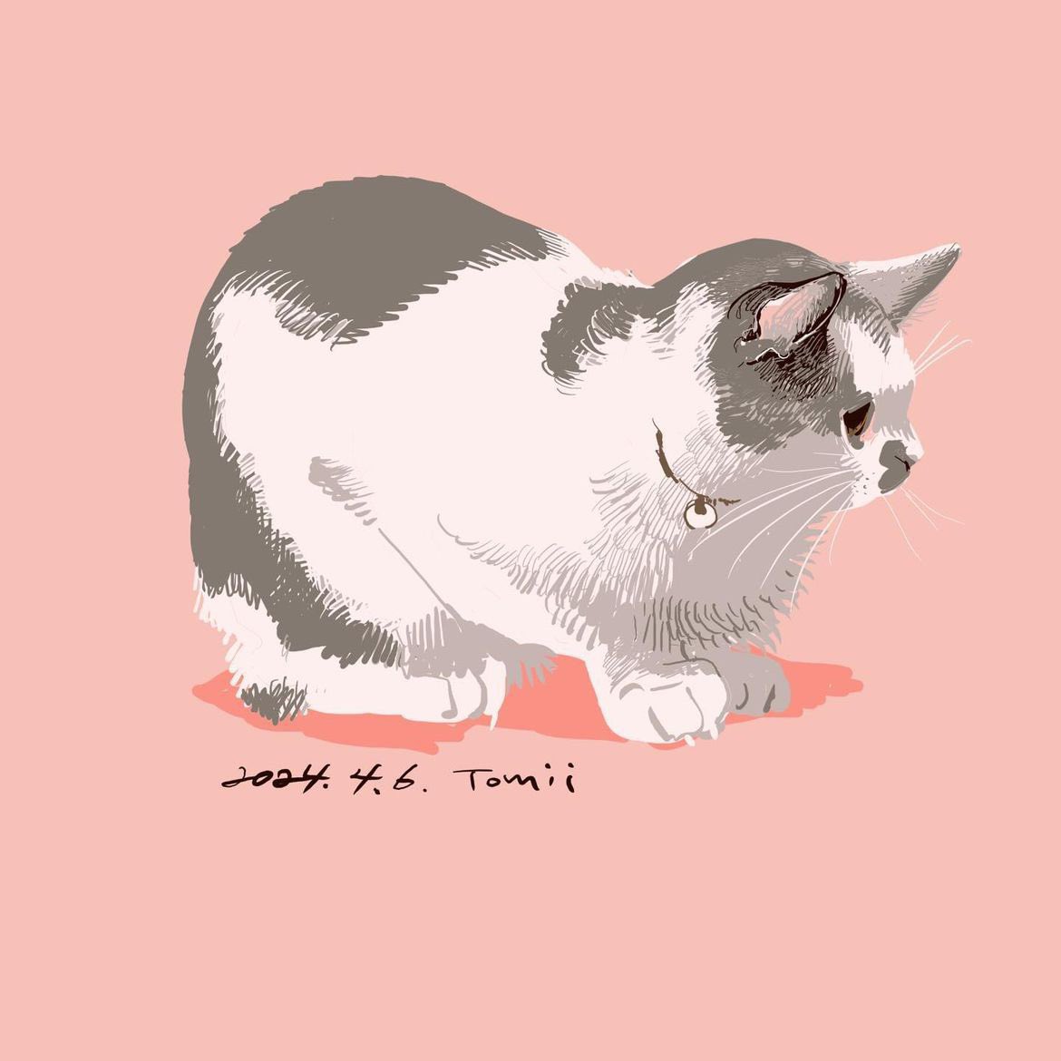 「猫 」|トミイマサコのイラスト