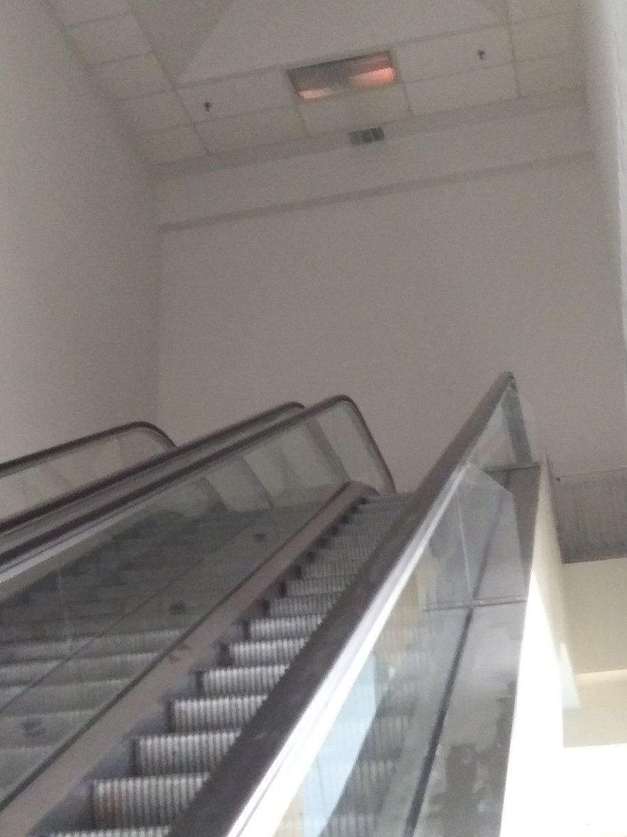 nascargnome's tweet image. Stairs To Nowhere. #STUCK #gettingnowhere #Stopplaying #WHY #nottoday #nowhere #photo #PlanC #photograghy #photooftheday #funny