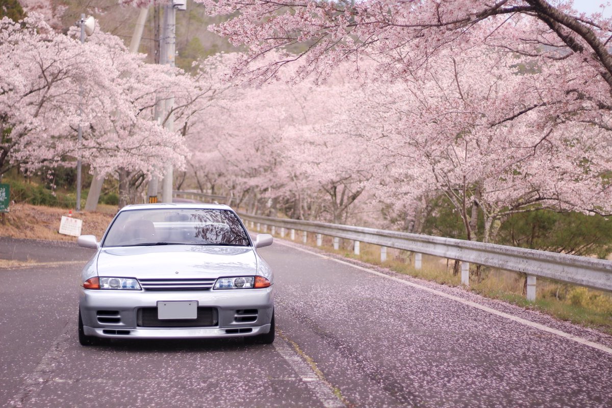 今年も無事に桜と撮れた٩( *˙ ˙* )۶🌸