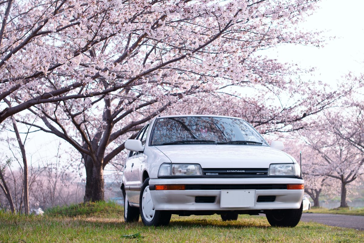 白い車はなんとなく桜景色が似合う気がする