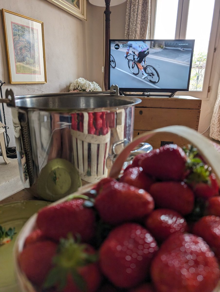 Oh dear, I seem to have 3kg of strawberries to hull and prepare for jam this afternoon .... And #ParisRoubaix2024 happens to be on ... Almost could have planned it 😜