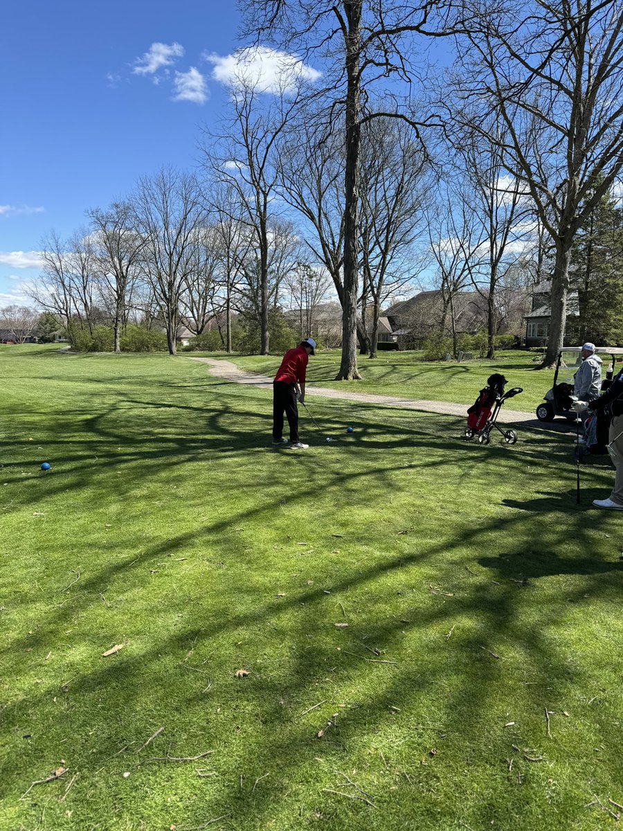 New Palestine Boys Golf Team tweet media