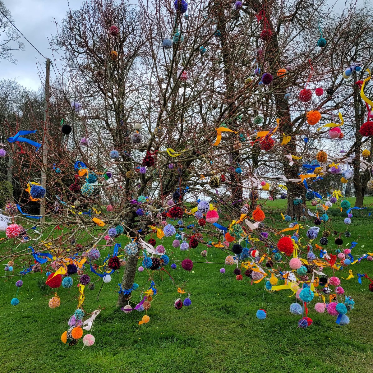 Thanks all who made Easter so special: Kingswood WI for donating decorations and helping install them; Liz Dix for her beautiful hanging creations, and staff & volunteers, who made hundreds of #pompoms! #EasterAdventures #NationalTrust #yarnbombing
