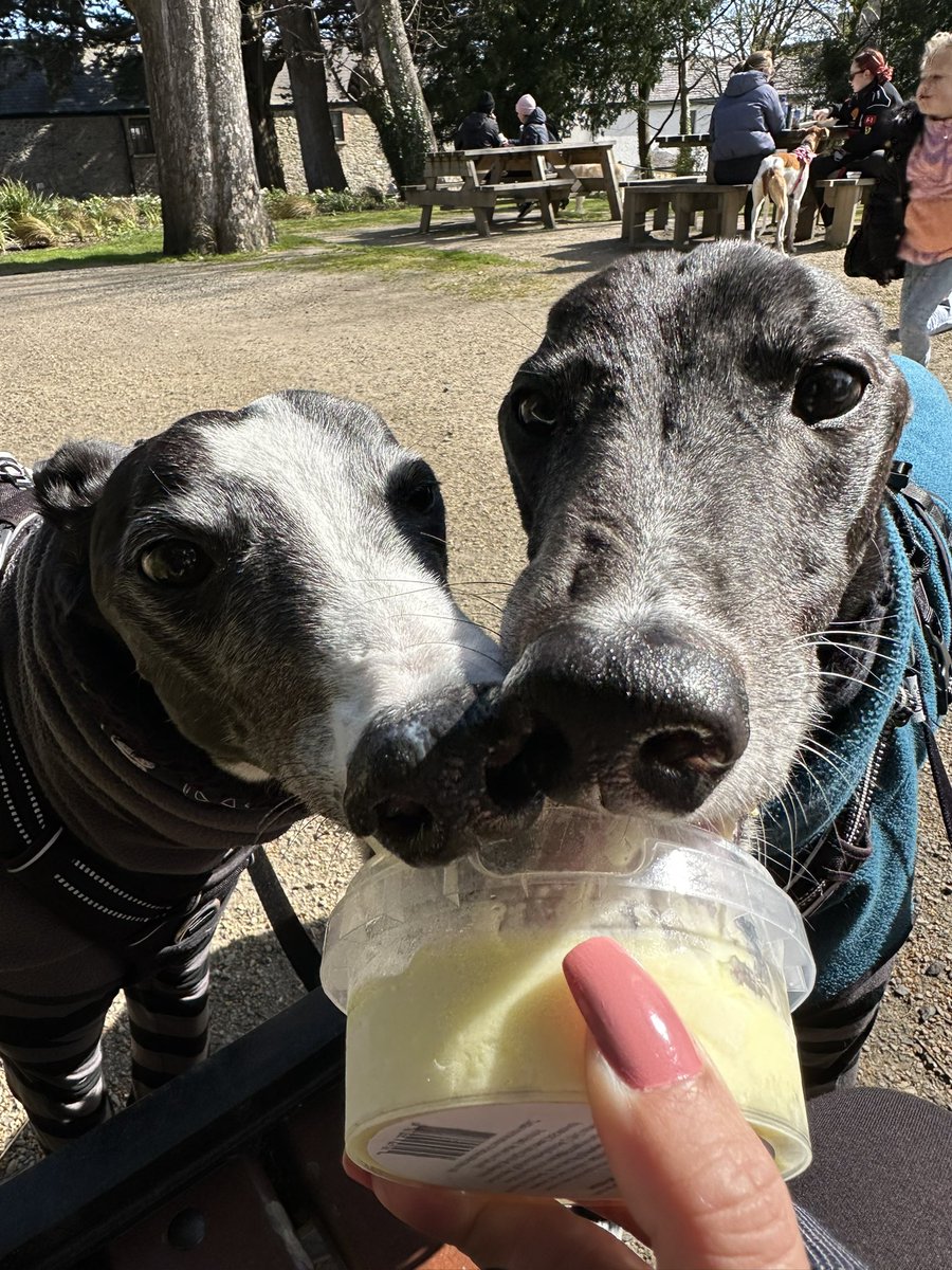 Sam KB 🇺🇦 tweet media