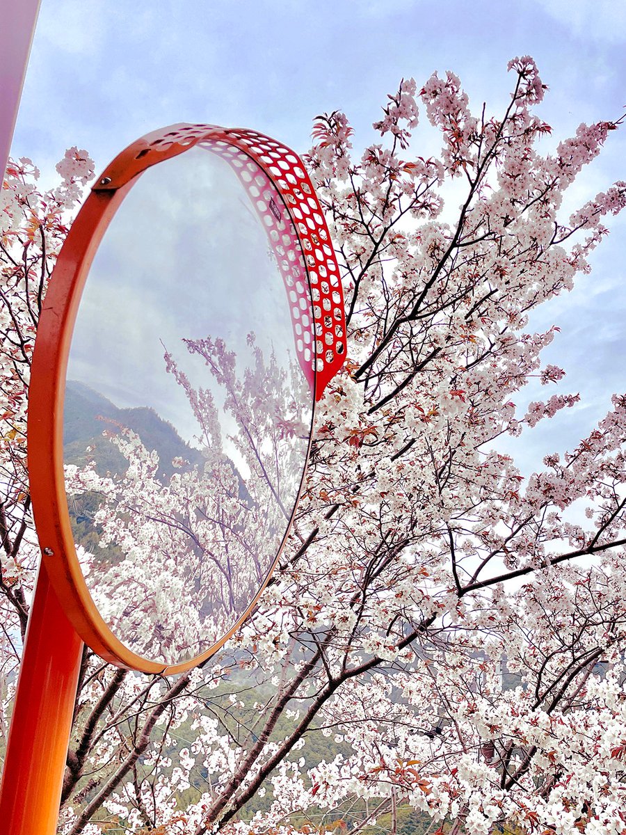 outdoors sky day blue sky tree no humans traditional media  illustration images