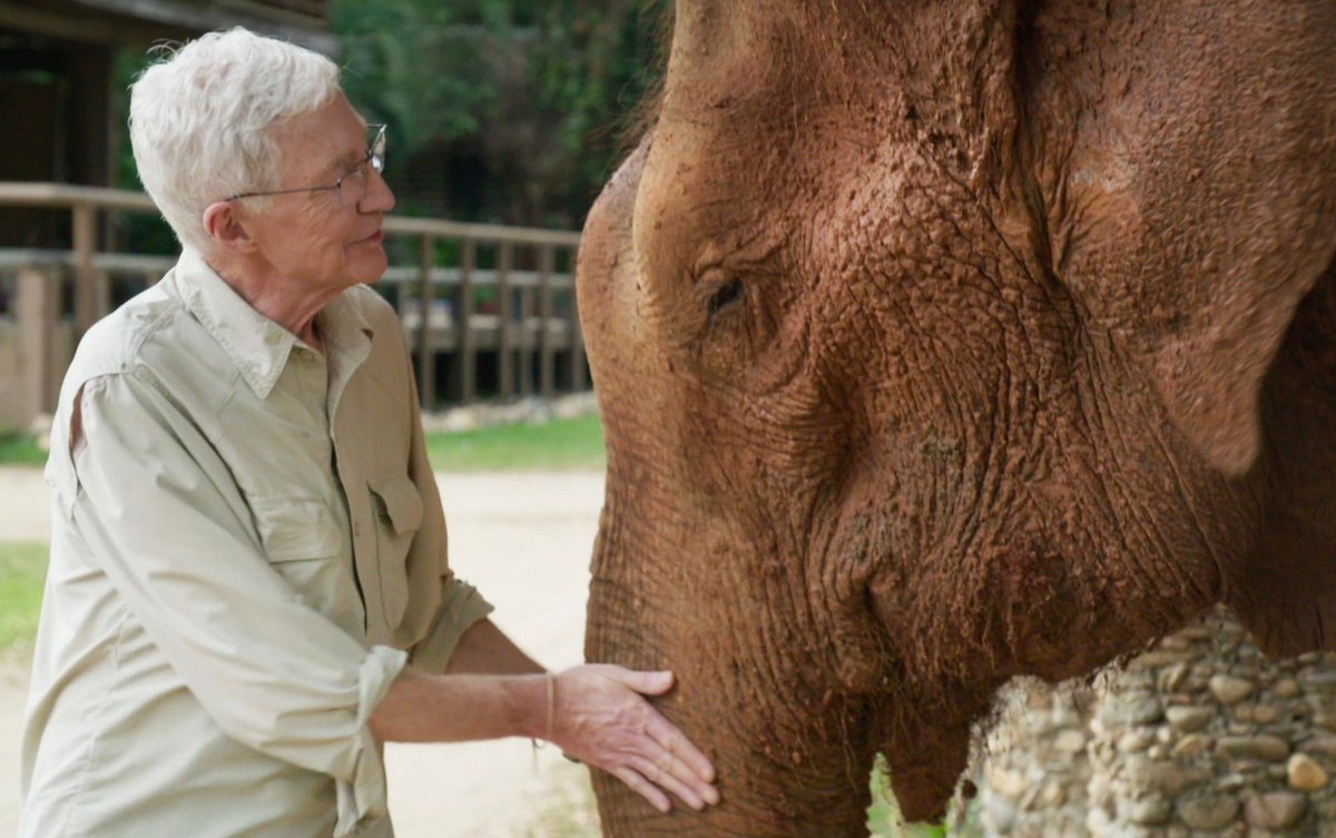 Paul O'Grady's Great Elephant Adventure continues tonight at 8pm on ITV. Don't miss it!