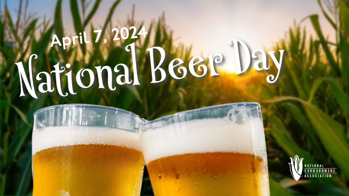 Reminder: Please be dutifully (and responsibly) observant on this #NationalBeerDay. Cheers! 🍻