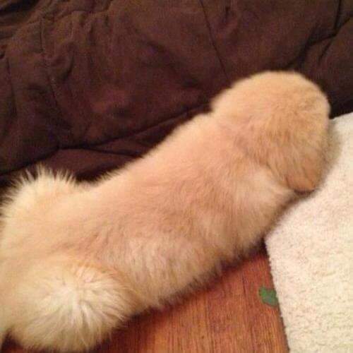 Varmı bayram hediye si isteyen