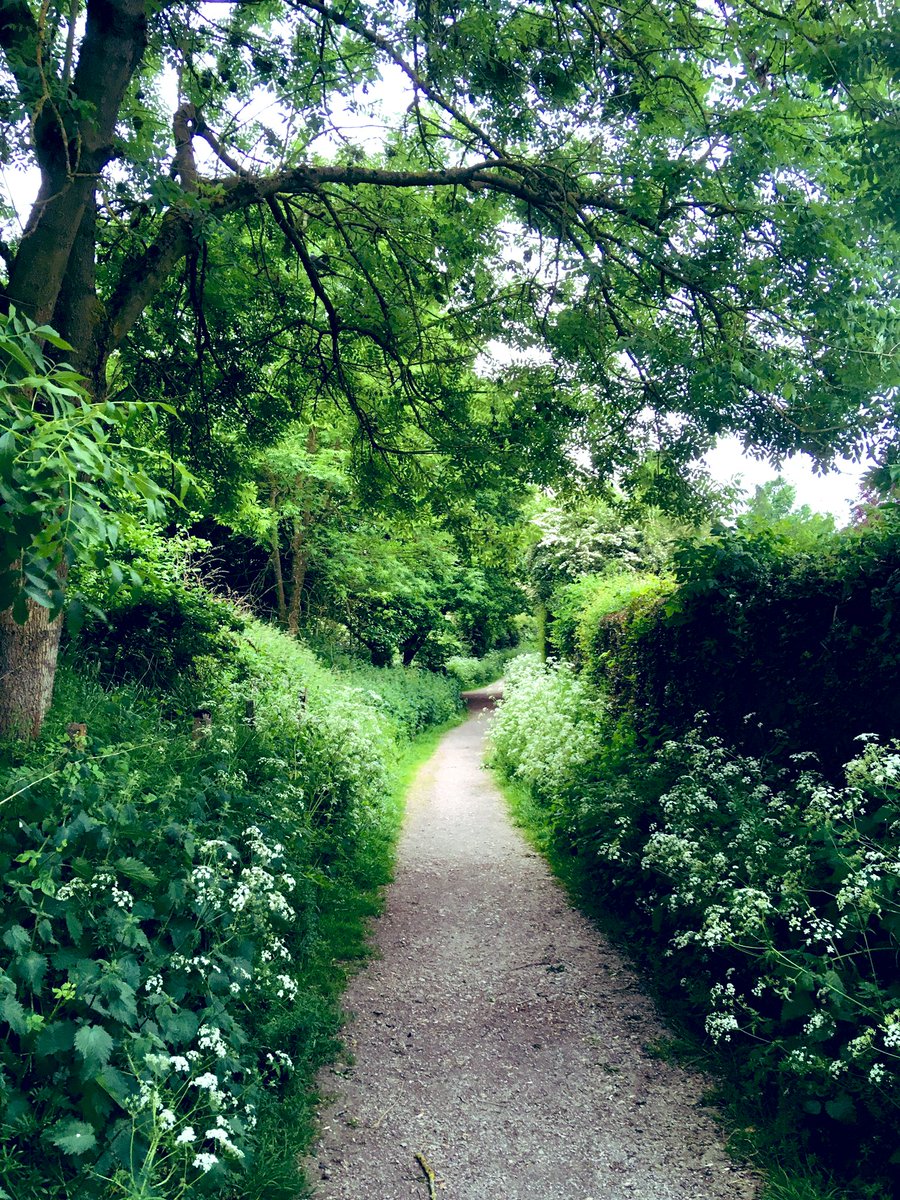 “Hand in hand, with fairy grace, we will sing, and bless this place.” #AMidsummerNightsDream #ShakespeareSunday 

Waingroves woods 🌳