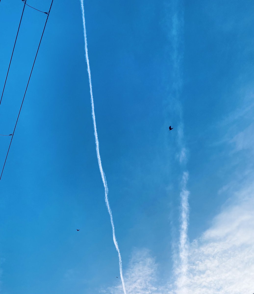 今日飛行機雲めちゃきれいやった！