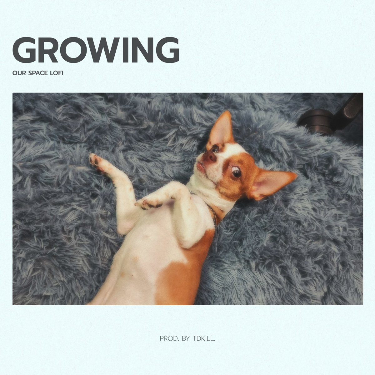 🎶[ Limited time F R E E    M I N T ]  🎧
'Growing' Fresh track drop on @soundxyz_
Listen full track in link below 👇 

#nftmusic #musicnft #lofi #lofihiphop #lofimusic #lofivibes #op #base #TDKILL