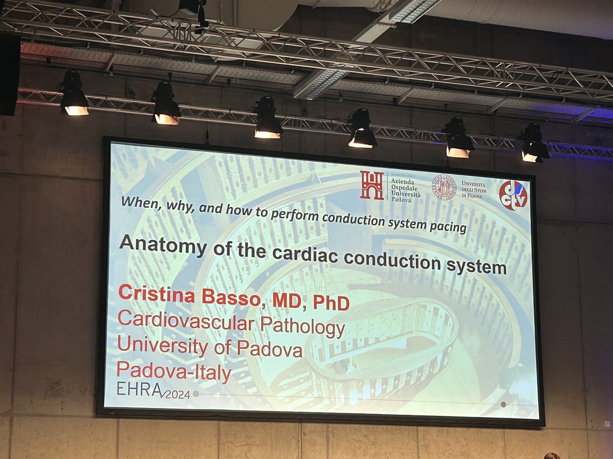 How the #CSP anatomy correlates with what #EP sees during the procedures @Dominik_Linz @simovicst @BetzKonstanze @PriyaPBK @JacopoImberti @HenrikeHillmann @Raquel_Adelino @rbcasado @micaela_ebert @arkajad @PriyaPBK @veramasloo @simovicst @Sharon_Man @DavidDuncker #EHRA2024