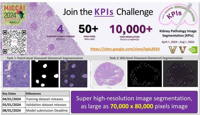 Excited to launch MICCAI 2024 KPIs challenge! Join us from VU, VUMC, NVIDIA in segmenting diseased mouse glomeruli at patch-level and whole slide image-level. Training data available at > 70,000x80,000 resolution: sites.google.com/view/kpis2024
#MICCAI2024 #MedicalImaging #Challenge