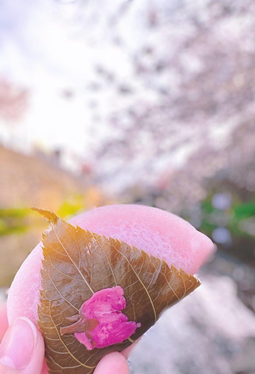 お花見日和🌸
晴れてよかった〜！
ソメイヨシノがすごく綺麗でした！
でもやっぱり花より団子🤤🍡🍡
さくら餅は関西人なのに長命寺派🌸🌸

明日から #猫ひた も新年度スタートだ〜！
良い気分転換になりました！

#お花見
#桜